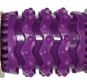 PetSafe RoundN'Robust Chew Companion Dog Toy â Durable Rubber Chew Toy for Aggressive Chewers UAE