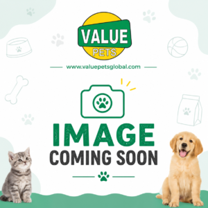 Dog Harness M/L Minnie