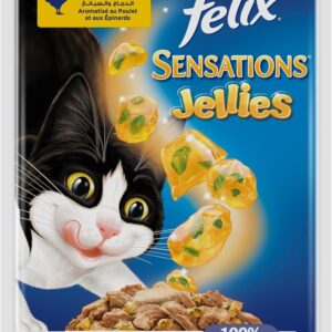 Nestle Purina Felix Sensation Cat Wet Food Chicken And Spinach Flavor 85g