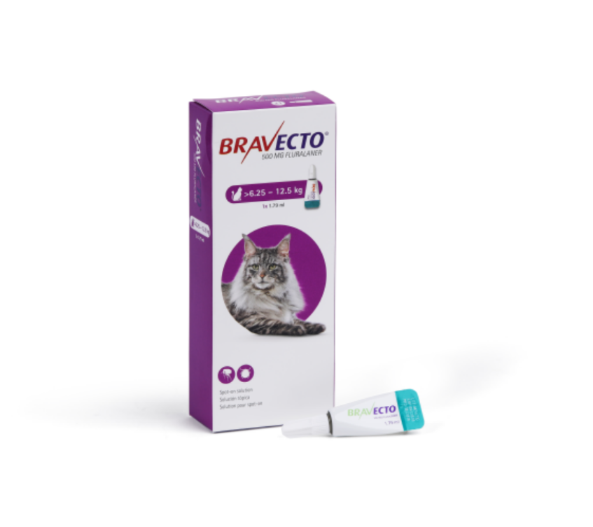 1785498006959528181.png Bravecto Spot On for Cat 500mg 6.25 -12.5kg 1x 1.79ml Large Cats - Image 1