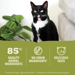 Acana Premium Beef Pate Cat Wet Food - 85g