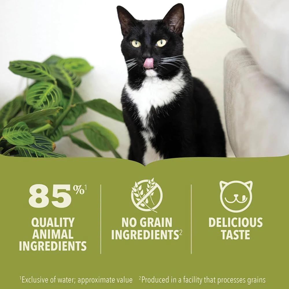 17857605201765980302.jpg Acana Premium Beef Pate Cat Wet Food - 85g - Image 1