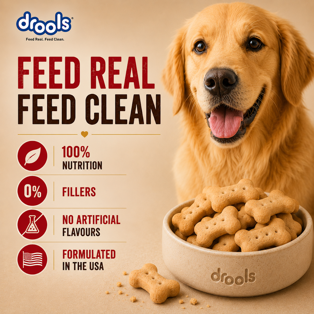 17870442732055058994.png Drools Chicken and Egg Biscuit 800g - Image 1