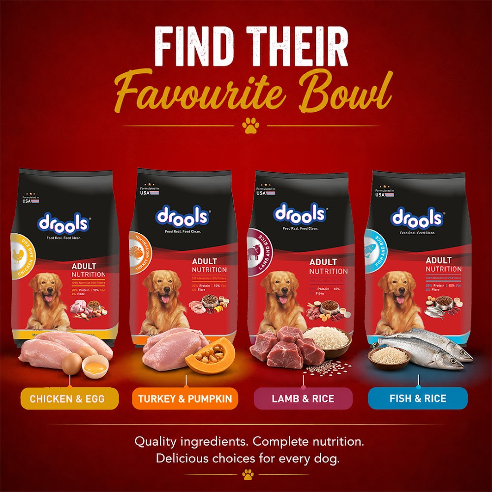 1787044315529022852.jpg Drools Chicken and Egg Adult Dog Food, 3kg with Free 1.2kg - Image 1