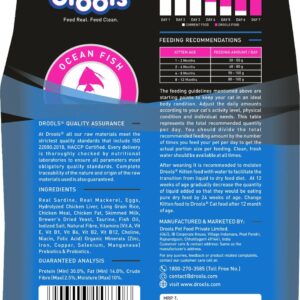 Drools Kitten(1-12 Months) Dry Cat Food, Ocean Fish, 1.2kg with Free Container