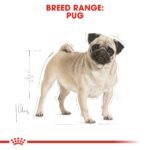 Breed Health Nutrition Pug Adult - 1.5 KG