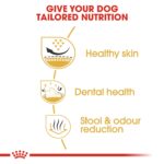Breed health nutrition shih tzu adult - 1.5 KG