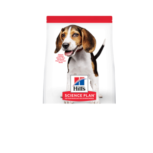Hill's Science Plan Medium Puppy Food with Chicken - 2.5kg