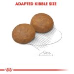 SIZE HEALTH NUTRITION MAXI ADULT-AGE - 5+15KG