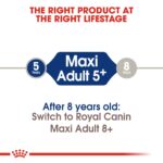 SIZE HEALTH NUTRITION MAXI ADULT-AGE - 5+15KG