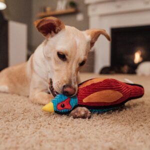 Outward Hound Cordiez Pheasant Mlt LG