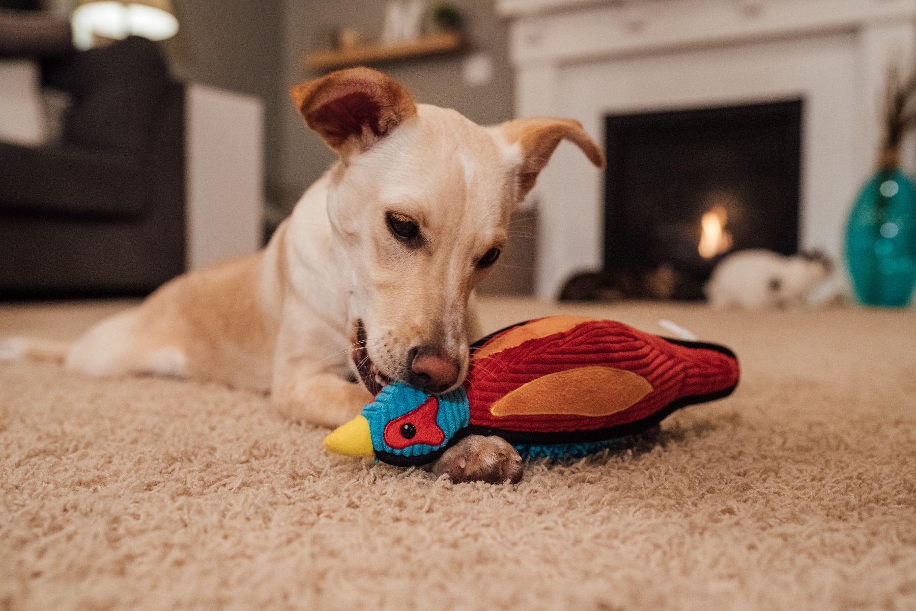 3-9.jpg Outward Hound Cordiez Pheasant Mlt LG - Image 1