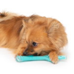 Zeus Duo Ball - Stick 23cm Turq. Chicken Scent
