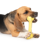 Zeus Duo Ball - Bone, 18cm, Yellow, Coconut Scent