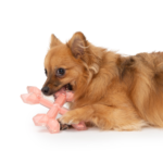 Zeus Duo Ball - Cross, 15cm, Coral, Chicken Scent
