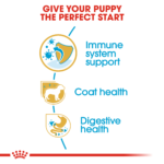 Breed Health Nutrition Poodle - Puppy 3 kg