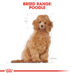 Breed Health Nutrition Poodle - Puppy 3 kg