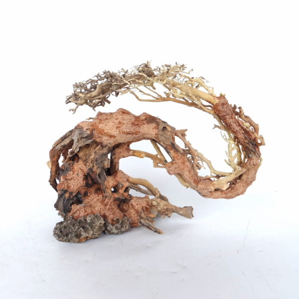 Dragon-like Wood Tree Medium, 30x23x13 cm