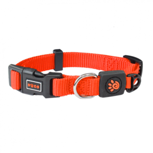 DOCO Signature Nylon Collar - 1.0 x 21-30cm[Size - XS, Color - Safety Orange]