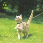 DOCO® LOCO Cat Harness + Leash Combo - Printed Pattern 6ft (DCAT202+2072)[Size - XS, Color - Q1] - Image 6