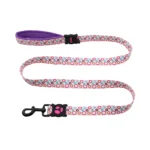 DOCO® LOCO Leash - 5ft Medium-2.0 x 150cm H