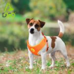 DOCO® Reflective Chest Plate Mesh Free- Walking Harness Medium-54 x 60-70cm-Turquoise - Image 5