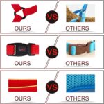 DOCO® Reflective Chest Plate Mesh Free- Walking Harness X.Small-44 x 40-44cm-Turquoise - Image 3