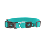 DOCO® Signature Nylon Collar - 1.0 x 21-30cm [Color - Turquoise, Size - XS]