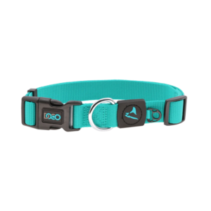 DOCO® Signature Nylon Collar - 1.0 x 21-30cm [Color - Turquoise, Size - XS]