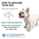DOCO® Ultra-light Mesh Jacquard Collar-1.5 x 25-35cm [Size-XS] - Image 7