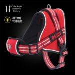 DOCO® VERTEX Power Harness-2.5 x 67-85cm (M)-Black - Image 4