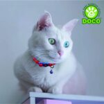 Doco Puffy Cat Collar (DCAT010)[Color - Pink] - Image 6