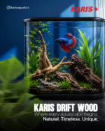 Karis Aqua Root Drift Wood-Small & Large-5kg - Image 2