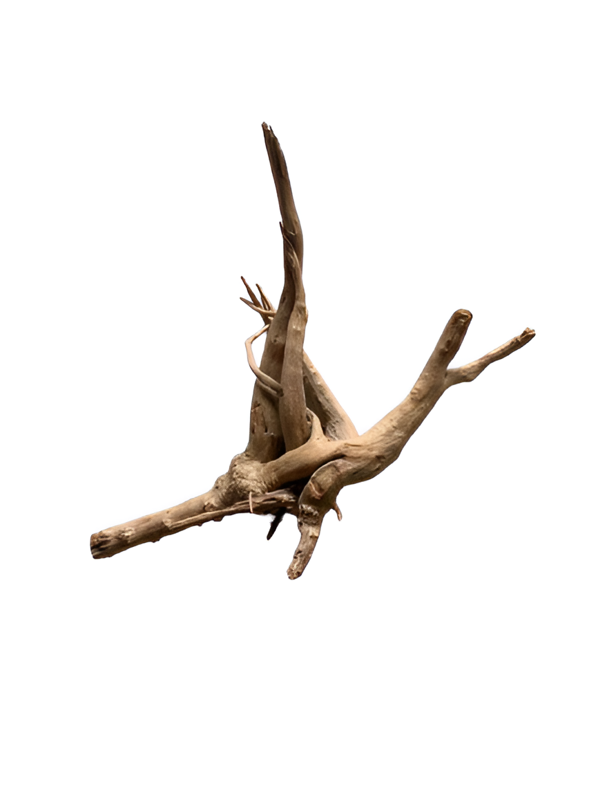 Karis Aqua Scape Mangrove-Small,Medium & Large-5kg Karis Aqua Scape Mangrove-Small,Medium & Large-5kg - Image 1