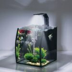 Karis Curvy Aquarium BL-05 – -21 Litres – 25x28x30cm - Image 2