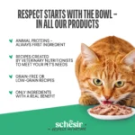 Schesir Snax! Crunchy & Creamy Cat Snack 60g-Beef - Image 7