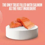 Schesir Snax! Crunchy & Creamy Cat Snack 60g-Salmon - Image 5