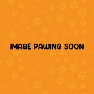 Hill's Science Plan Perfect Weight Dry Dog Food with Chicken for Medium Breed Adult Dogs- 12kg (1+ Year & 11-25kg)