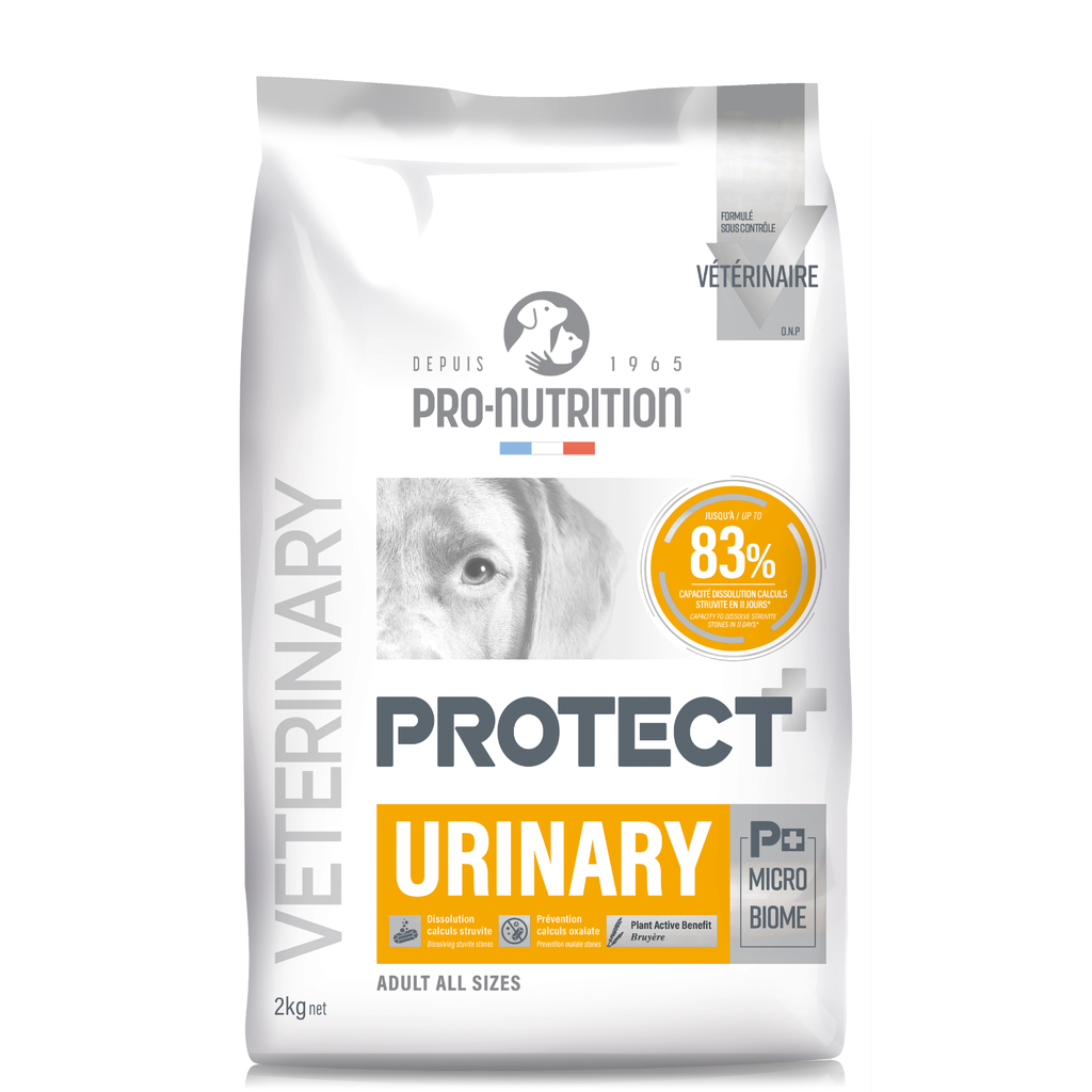 home-6.png Pro nutrition Protect Urinary-Dog Food For Adult All Sizes 2kg - Image 1