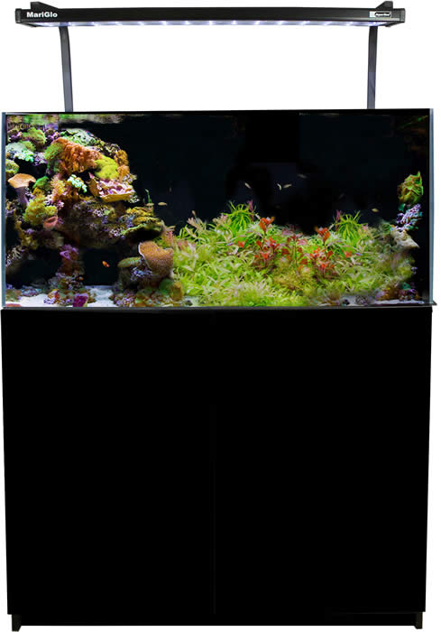 main-11.jpg Aqua One MiniReef 180 Marine Set 180L 90L X 45d/80cm H BLACK -AQUARIUM + CABINET - Image 1