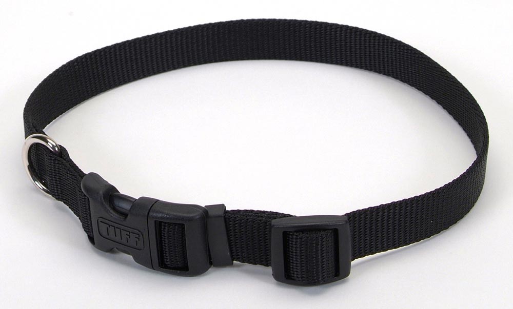 main-234.jpg Coastal 1" Adj Dog Collar Medium Black - Image 1