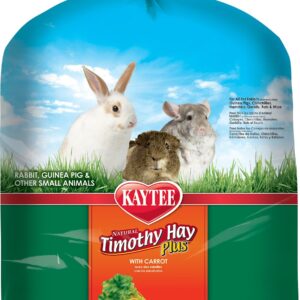 Kaytee Timothy Hay Plus Carrots 3/48oz