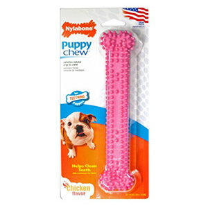 Nylabone Puppy Pink Dental Chew Giant