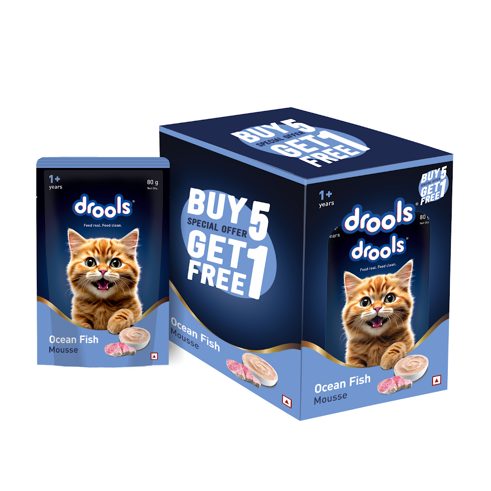 17870445541360007325.png Drools Ocean Fish Mousse Cat 80gm(5+1)Pc - Image 1