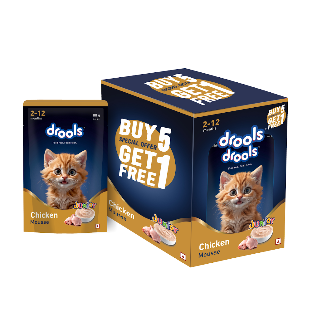 1787044571770760275.png Drools Chicken MousseKitten 80gm (5+1)Pc - Image 1
