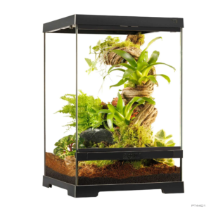 Exo Terra Pro Terrarium X-Small Tall 30 x 30 x 45 cm
