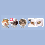Altimate Pet Supplement for Dogs –Appetite Chews 250g - Image 3