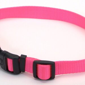 Coastal 1 and Tuff Dog Collar Large Neon Pink