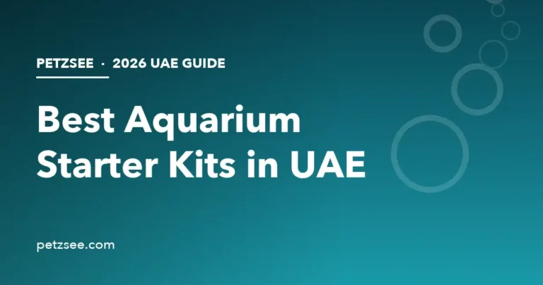 Best aquarium starter kits in UAE 2026 guide cover with bubbles illustration