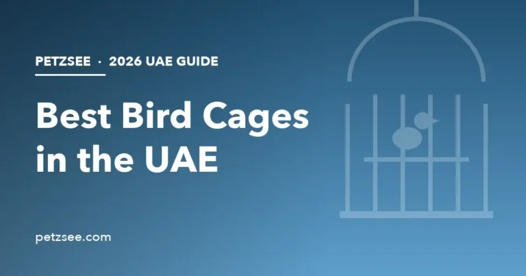 Best bird cages in UAE 2026 guide cover with birdcage illustration